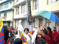 tibet march-Tibetan freedom torch
