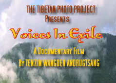 voices dvd