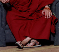 Dalai Lama in sandles