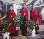 small group of monks